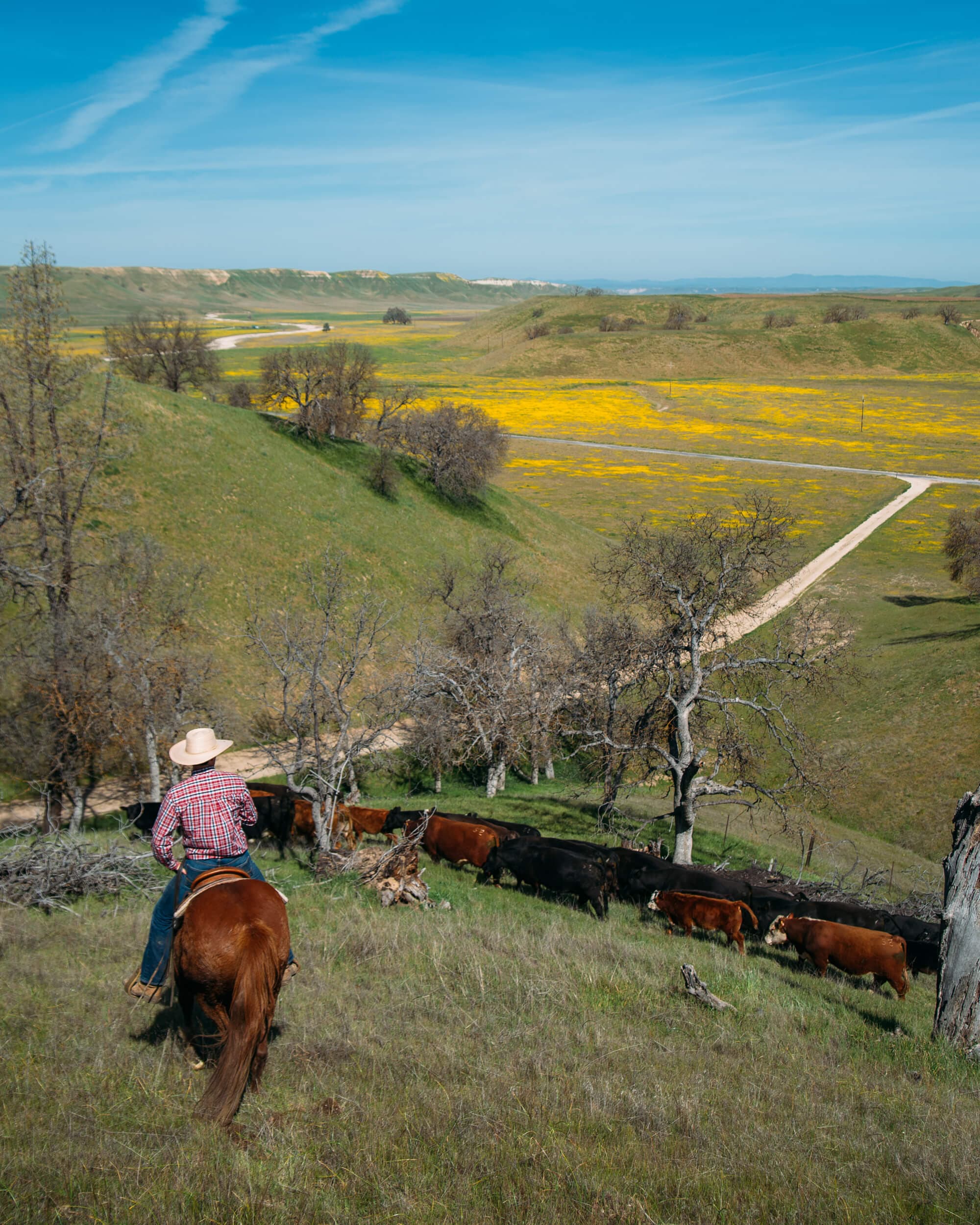 Huasna Valley Ranch, Huasna Valley, San Luis Obispo County