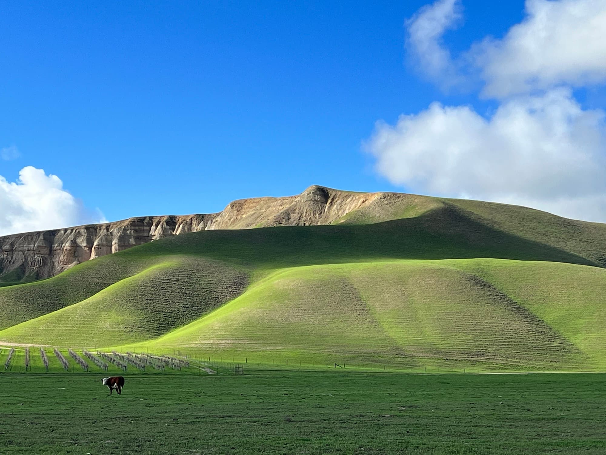 Avenales Ranch, La Panza Range, San Luis Obispo County